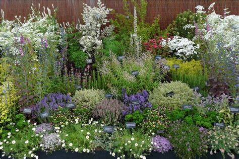 20 Beautiful Herb Garden Design Ideas You Should Check Sharonsable