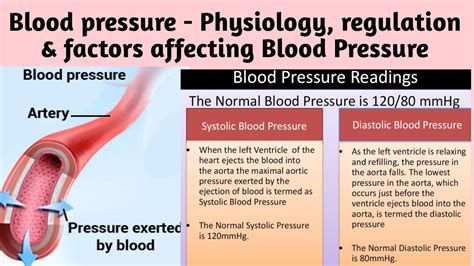 Nsg Fon 19 A Blood Pressure Physiology Regulation And Factors