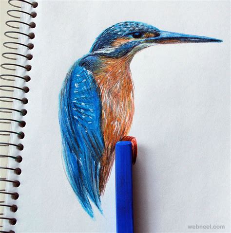 40 Best And Beautiful Bird Drawings And Artworks Part 2