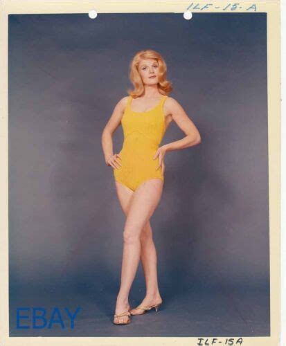 Jean Hale Sexy Piernas Vintage Foto Foto Libro Clave Ebay