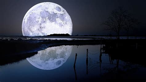 Hd Wallpaper Lake Landscape Moon Moonlight Nature Night Trees