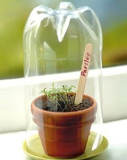 16 Genius Things To Do In Garden With Soda Bottles Plastic Bottle Ideas