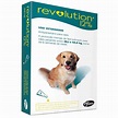 Revolution 12% para Cachorros 20kg a 40kg Cx. com 1 - 3 pipetas Zoetis ...