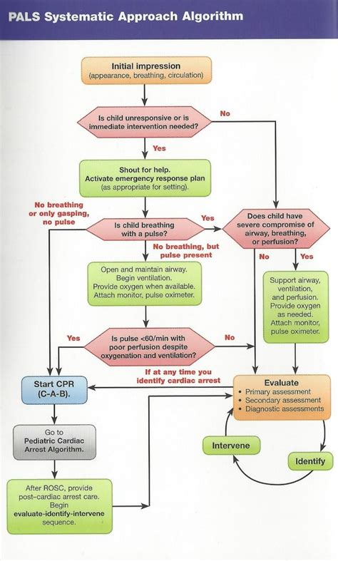 Pals Algorithm Cheat Sheet How To Pass The Pediatric Advanced Life