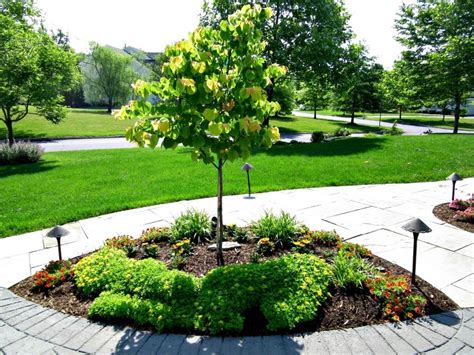 Pacific Northwest Dwarf Trees For Landscaping — Randolph Indoor And