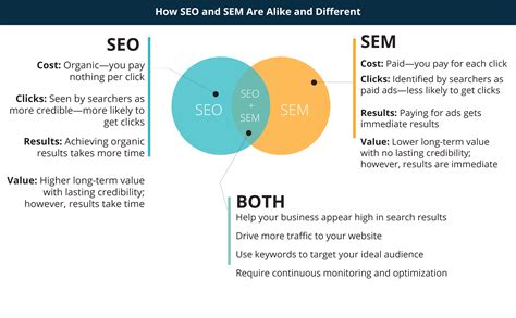 Seo Vs Sem Infographic Facts Hot Sex Picture