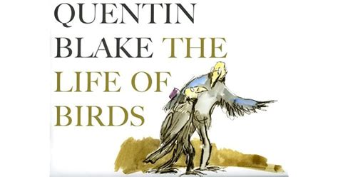 The Life Of Birds By Quentin Blake