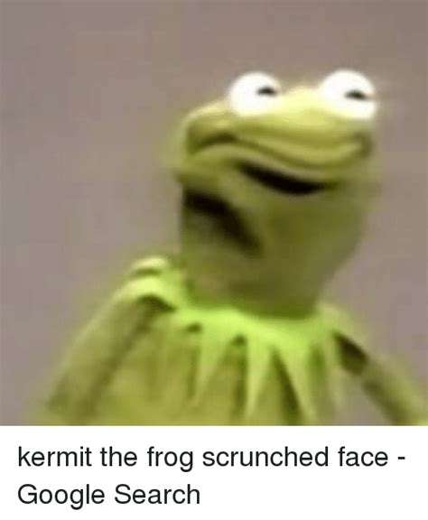 Kermit The Frog Reaction Face