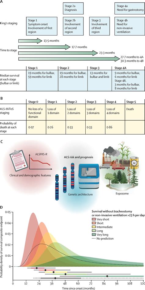 Amyotrophic Lateral Sclerosis The Lancet