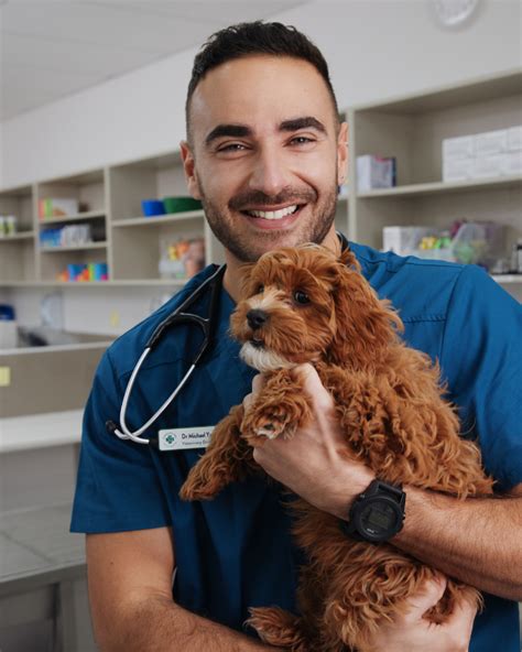 Veterinary Jobs In Australia Vet Careers At Greencross Vets