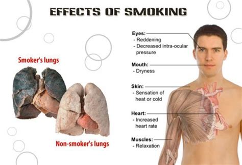 The Effects Of Smoking Cigarettes