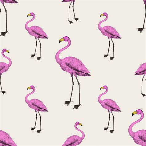 Free Vector Pink Flamingo Wallpaper