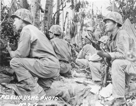 Photo Us Marines Fighting On Peleliu Palau Islands 1944 World War