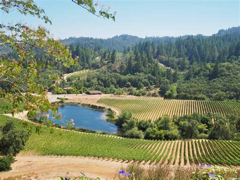 Can You Do A Day Trip To Napa From San Francisco?