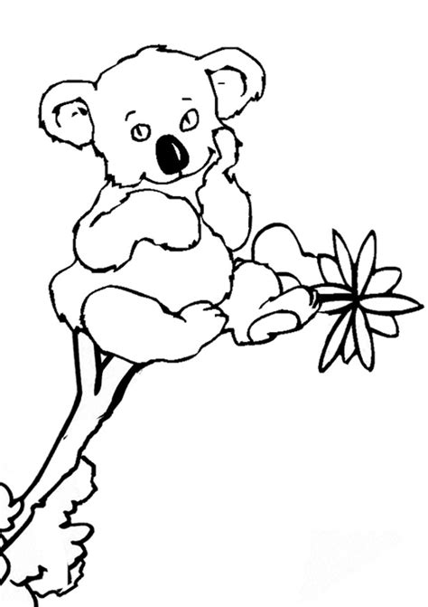 Coloriage Koala à Imprimer Pour Les Enfants Cp15321