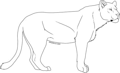 Bulky Lioness Template By Creaturecreatingbabe On Deviantart
