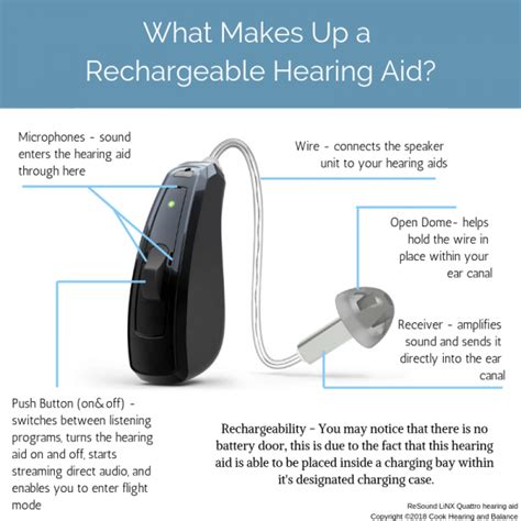 Resound Future Hearing Aid Parts