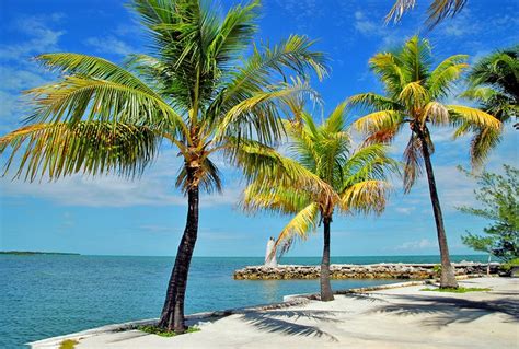 15 Top Rated Attractions And Things To Do In The Florida Keys Planetware