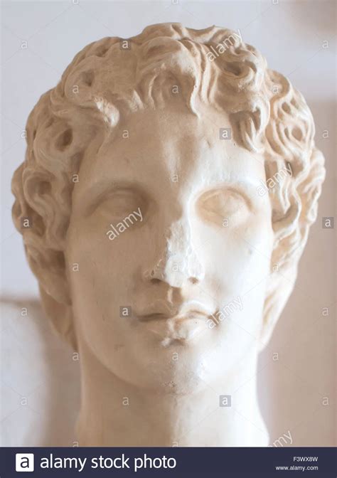 Ancient Bust Of Alexander The Great In Museum Stock Photo Alamy