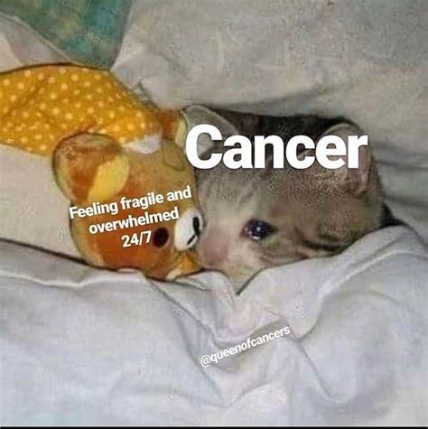 Funny Cancer Memes That Reveal The Untold Truth Of Cancerians Cancer Zodiac Facts Cancer