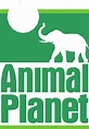 Animal Planet (Latinoamérica) | Logopedia | Fandom