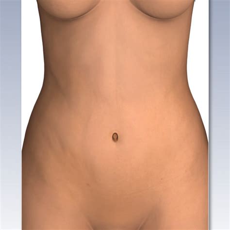 Human body anatomy back view. Female Abdominal Anatomy - External View - TrialExhibits Inc.