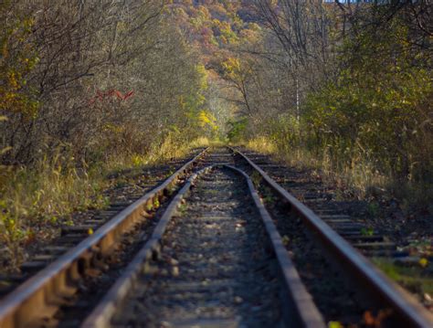 Wallpaper Landscape Forest Fall Leaves Sky Train Branch Tracks
