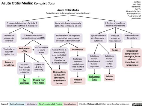 Acute Otitis Media Diagram