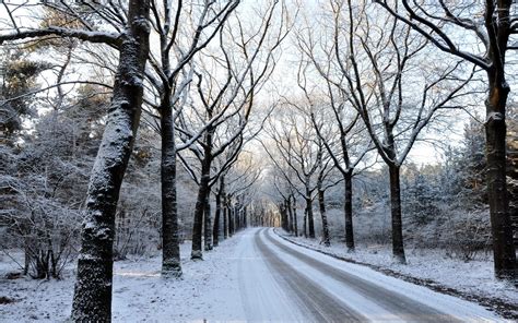 Snowy Road Through The Forest Wallpaper Nature Wallpapers 36546