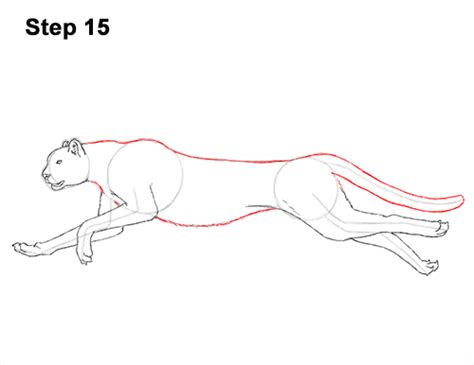 Check spelling or type a new query. How to Draw a Cheetah Running