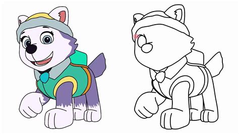 How To Draw Everest From Paw Patrol Characters Step By Step Youtube