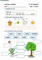 Unit 1. Plants (2º E.P) worksheet in 2022 | Science worksheets, Plants ...