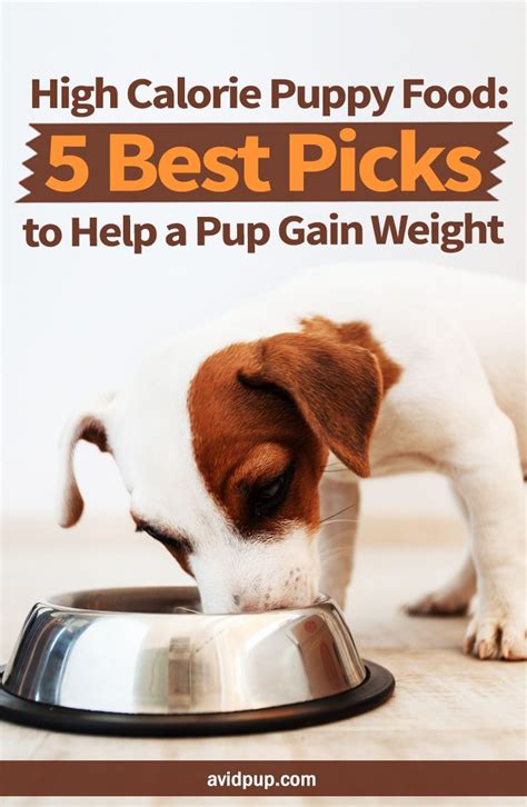 It is made to support the health and lifestyle of active pets and allows them to perform at their best. High Calorie Puppy Food: 5 Best Picks to Help a Pup Gain ...