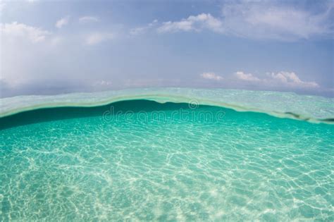 Clear Water And Blue Sky In Tropical Pacific Stock Image Image Of