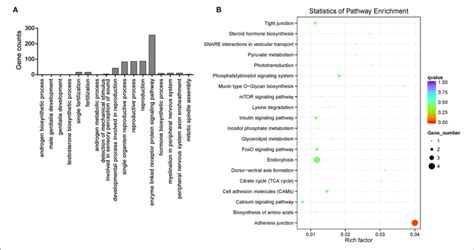 Annotation Of The Host Genes Of Differentially Expressed Circrnas Download Scientific