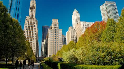 Visita Millennium Park En Centro De Chicago Tours And Actividades