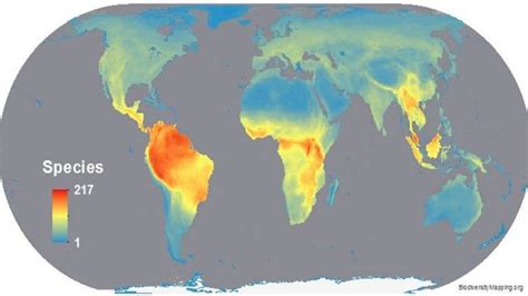 Global Patterns Of Biodiversity Anu Research School Of Biology