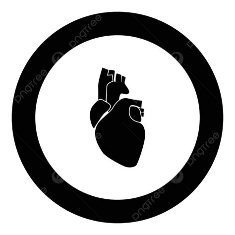 Human Heart Icon Black Color In Circle Biology Artery Drawing Vector
