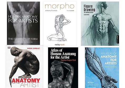 Top 20 Anatomie Boeken Voor Kunstenaars In 2021 Improveyourdrawings