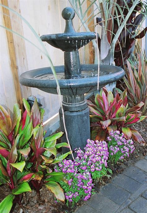 The 2 Minute Gardener Photo Water Fountain