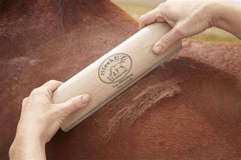The Ultimate Horse Grooming Tool Safe Gentle And Highly Effective