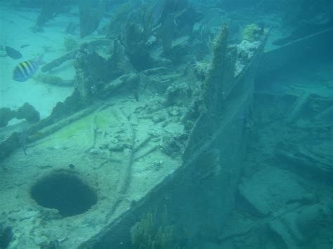 BLUE ADVENTURES SCUBA DIVING (Paradise Island): Ce qu'il faut savoir