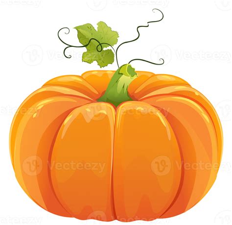 Pumpkin With Leaves 12981714 Png