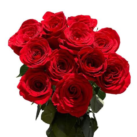 Globalrose 12 Stems Fresh Cut Red Roses Delivery For Valentines Day