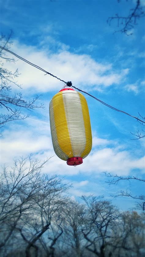 Download Wallpaper 938x1668 Chinese Lantern Sky Branches