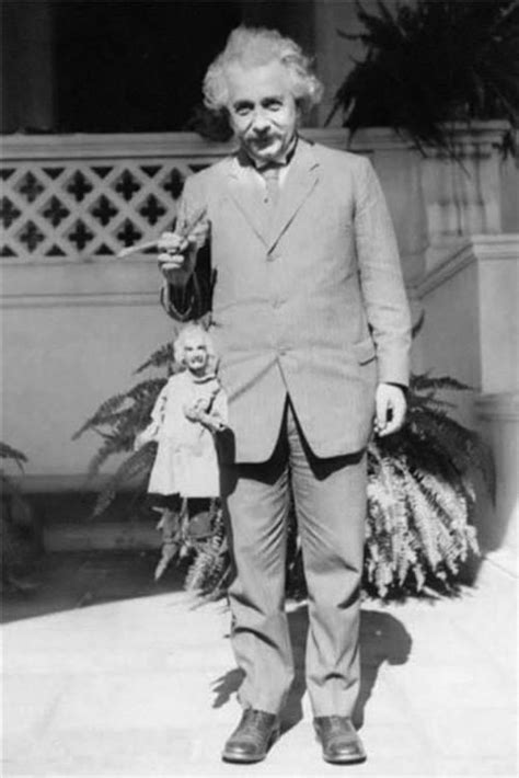 Albert Einstein Albert Einstein Einstein Puppets