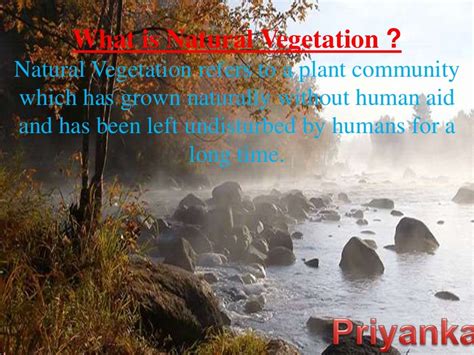 Natural Vegetation And Wildlife Ppt For Class 9 Cbse