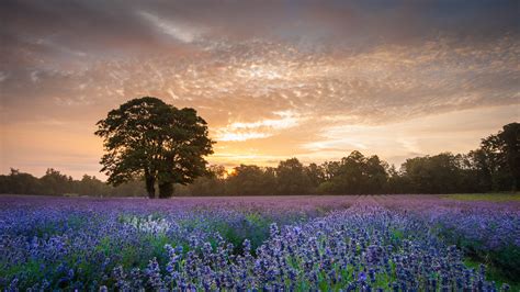 21 Essential Landscape Photography Tips You Need To Know Techradar