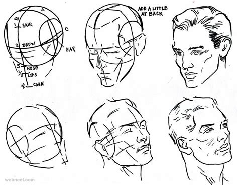 Man Face Drawing Step By Step At Getdrawings Free Download