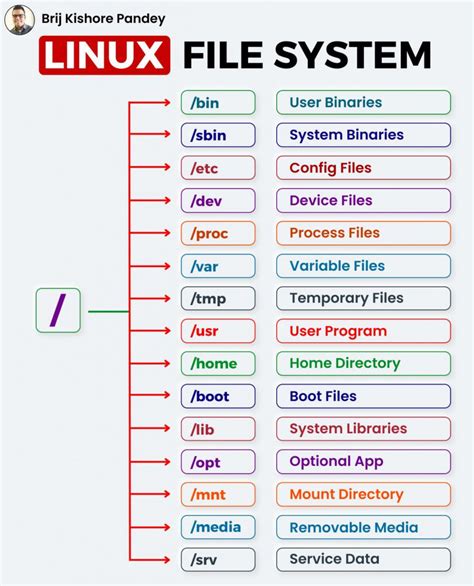 Introduction To Linux File System Structure And Types